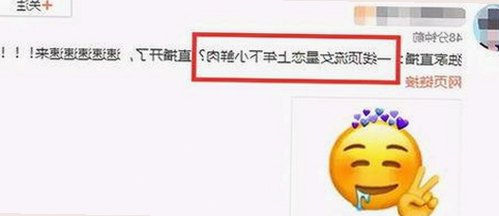 揭秘娱乐圈背后：那些不为人知的网红内幕大曝光