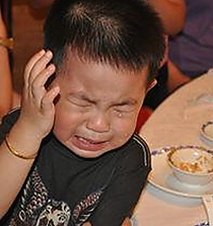 微信新晋吃瓜神器！表情包GIF火速来袭，娱乐圈八卦嗑不停🍿